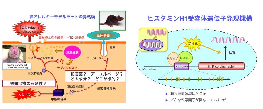 名称未設定2.001.jpg